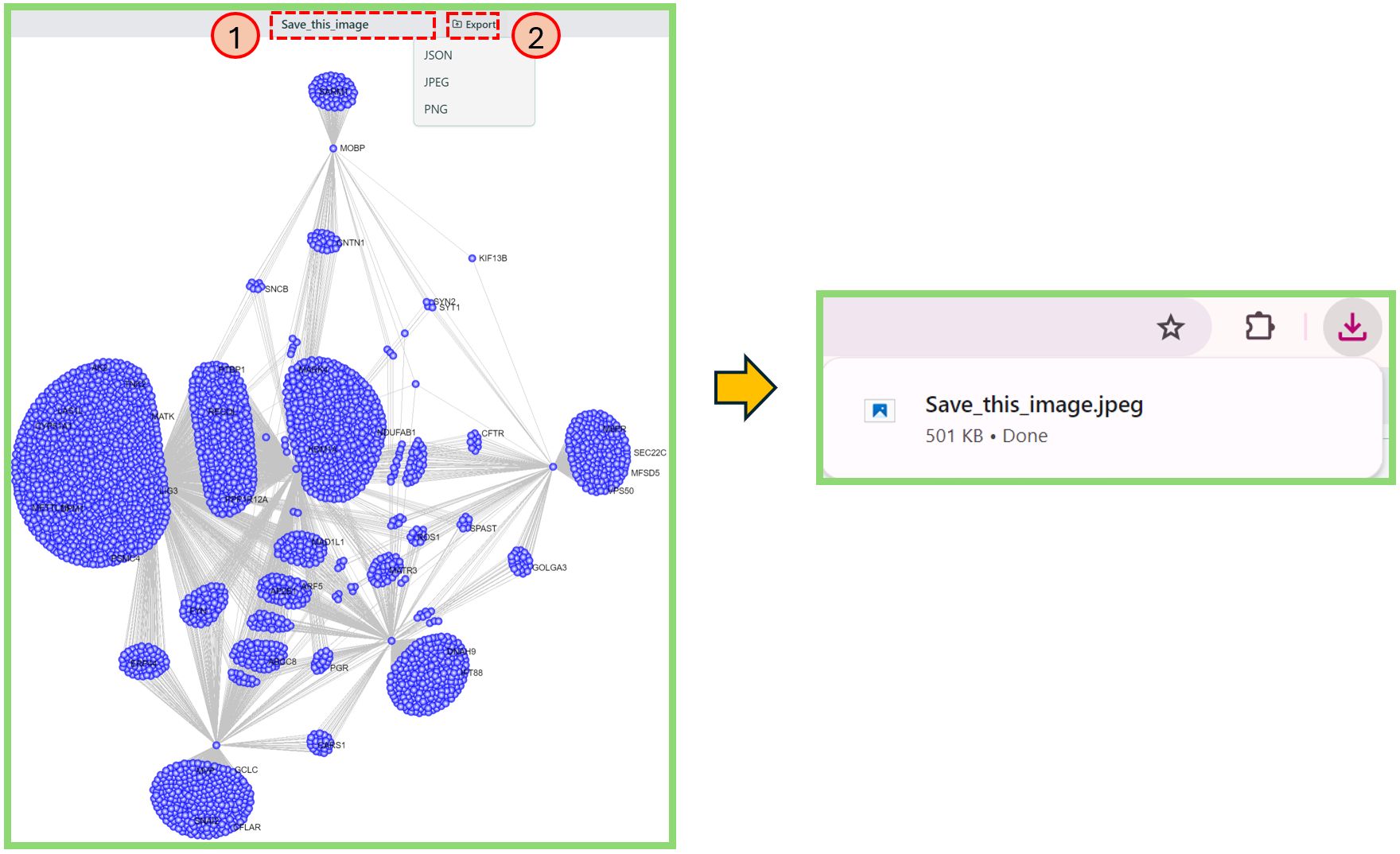 Network export